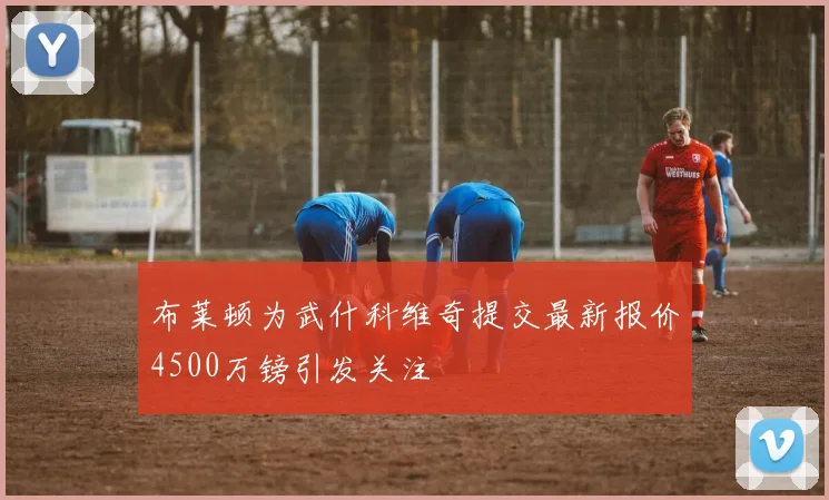 布莱顿为武什科维奇提交最新报价4500万镑引发关注