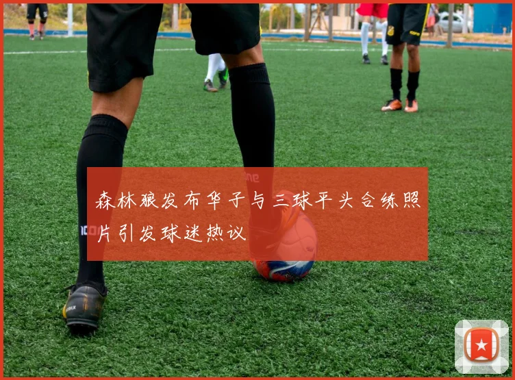 森林狼发布华子与三球平头合练照片引发球迷热议